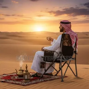 Camping Chair ~ Multi
