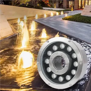 Stainless Steel Pool Light Underwater Light