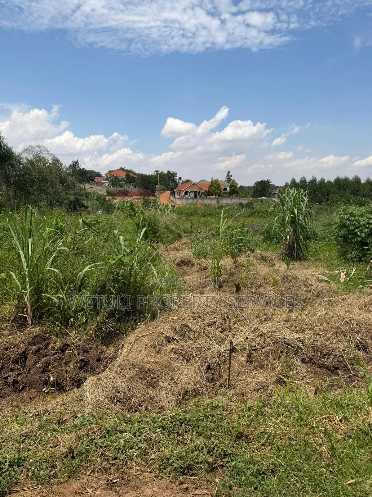 Plot for Sale at Kira Bulindo
