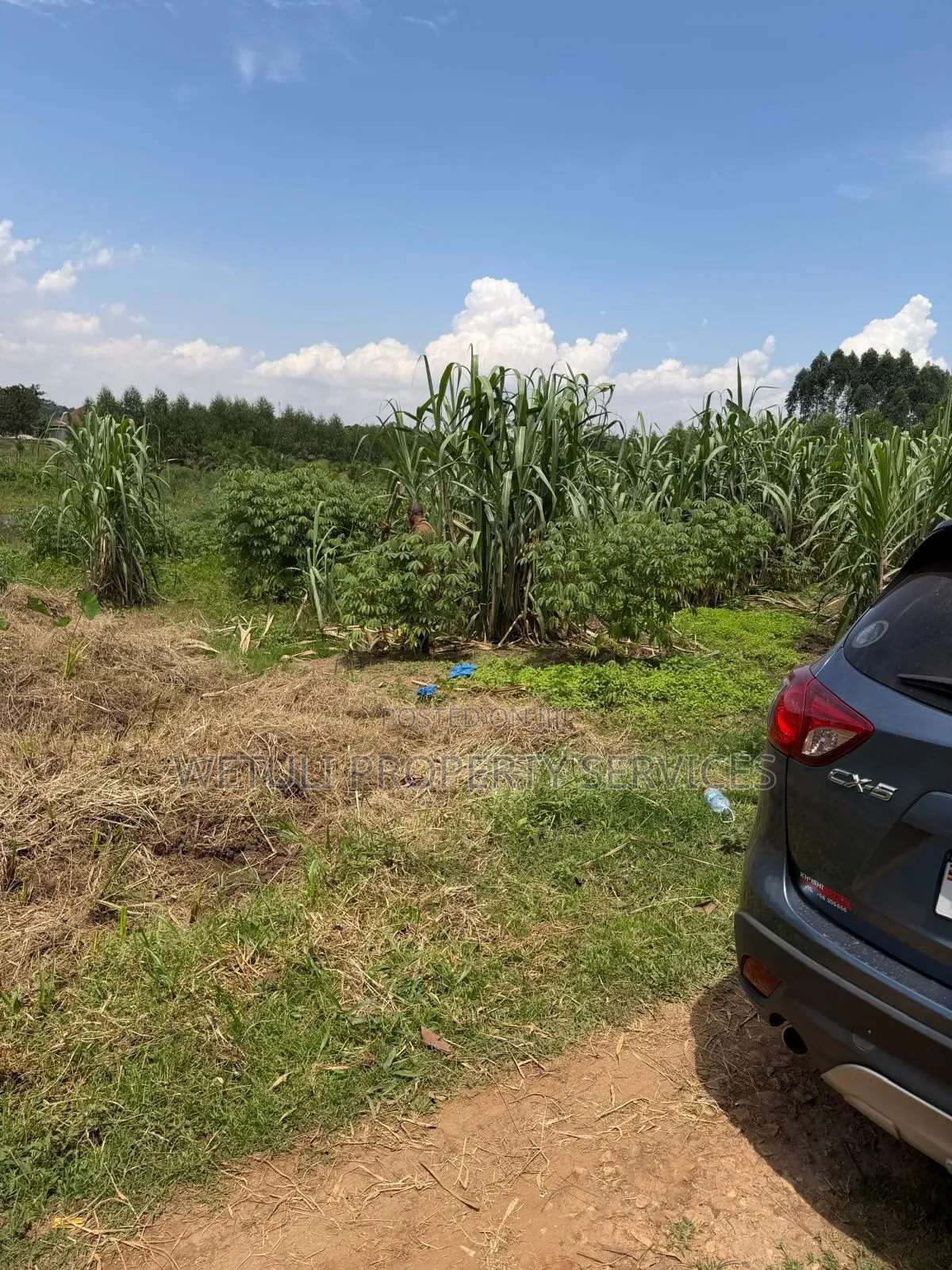 Plot for Sale at Kira Bulindo