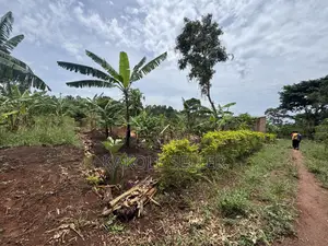 Plot for Sale