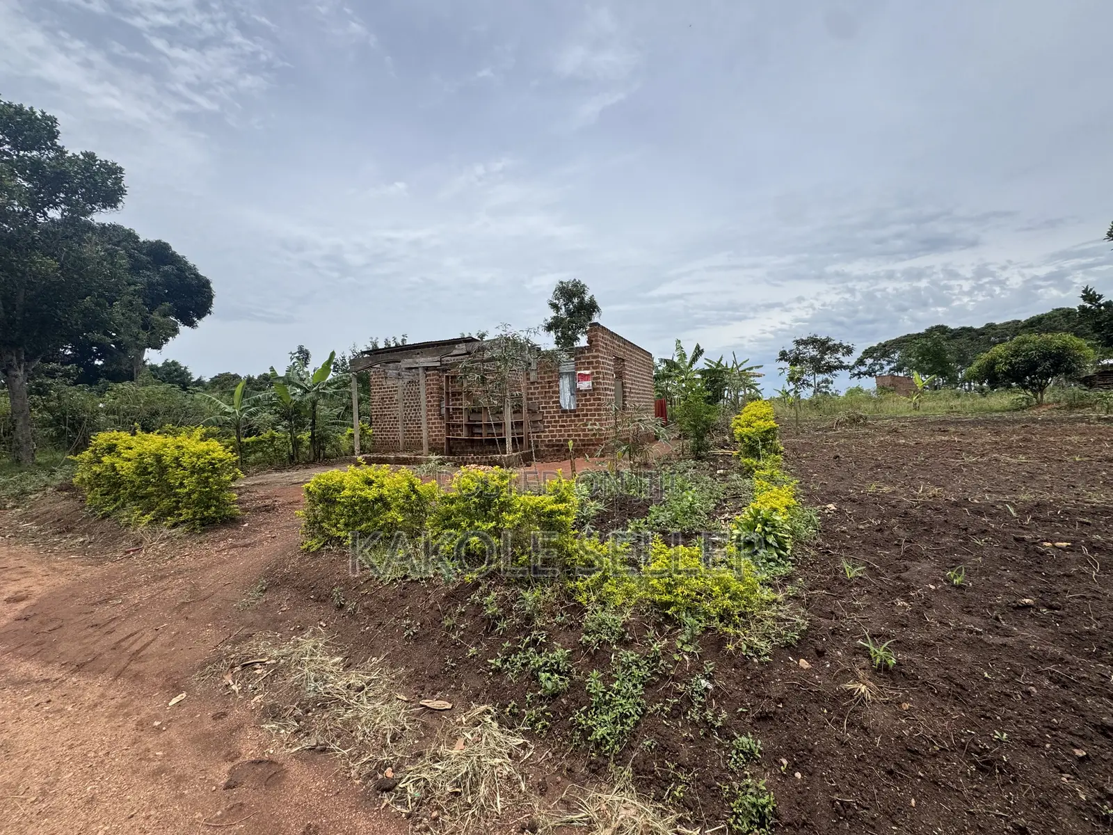 Plot for Sale