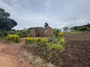Plot for Sale