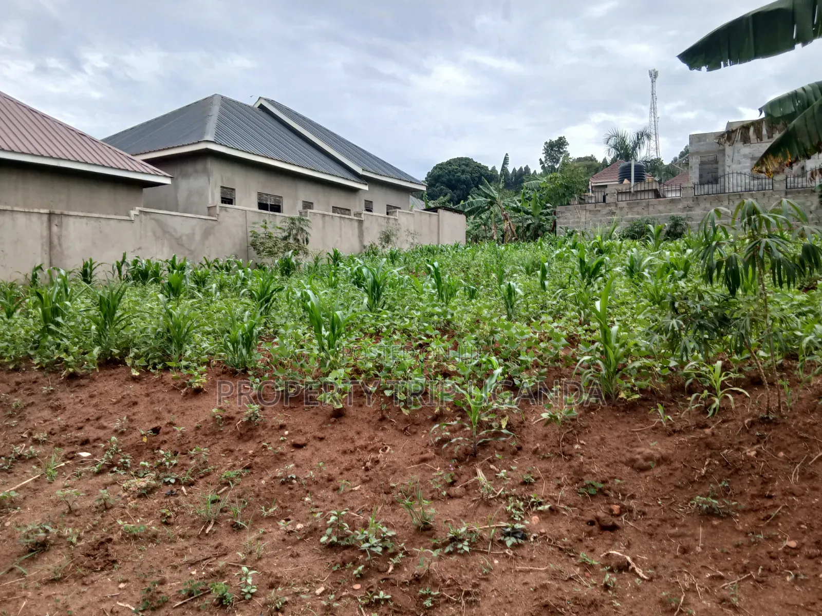 Plot Located at Gayaza Busukuma (Nabutiti Estate)
