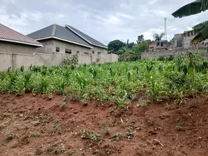 Plot Located at Gayaza Busukuma (Nabutiti Estate)