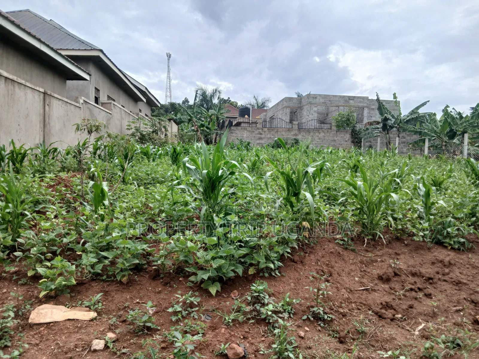 Plot Located at Gayaza Busukuma (Nabutiti Estate)