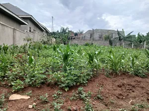 Plot Located at Gayaza Busukuma (Nabutiti Estate)