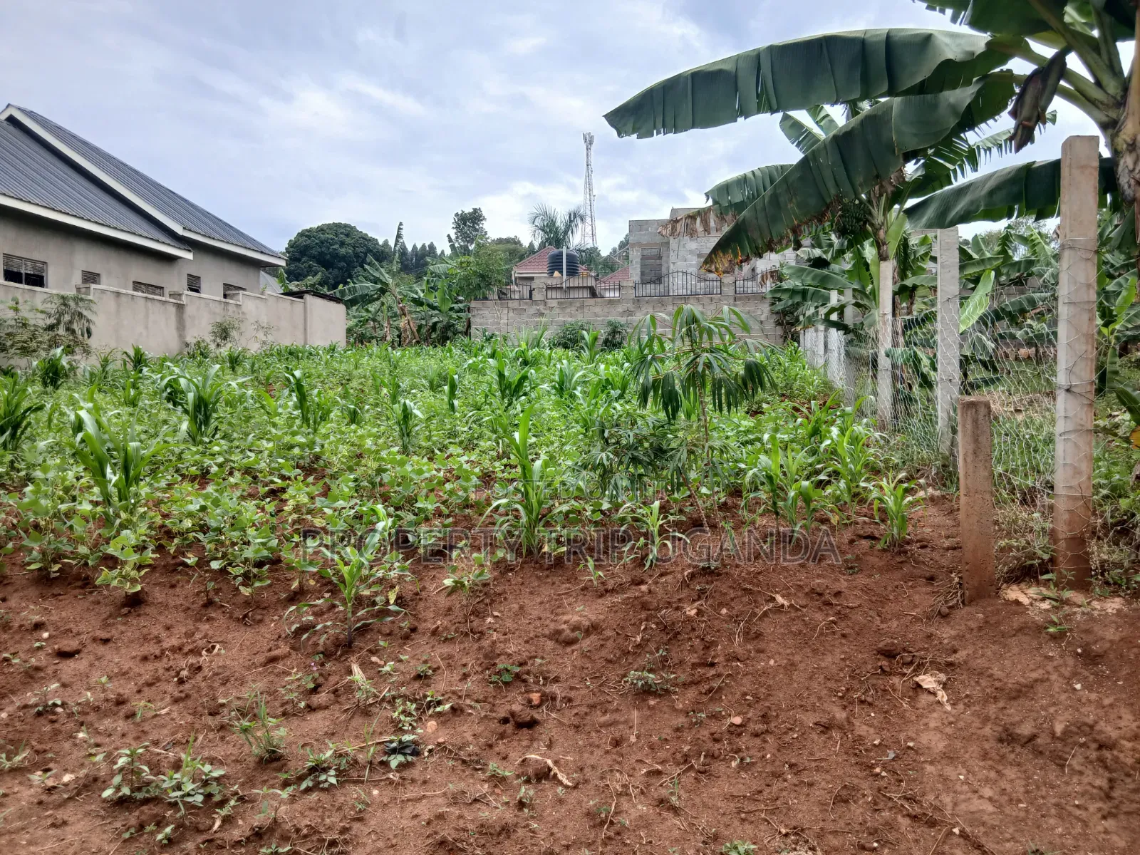 Plot Located at Gayaza Busukuma (Nabutiti Estate)