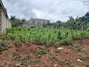 Plot Located at Gayaza Busukuma (Nabutiti Estate)