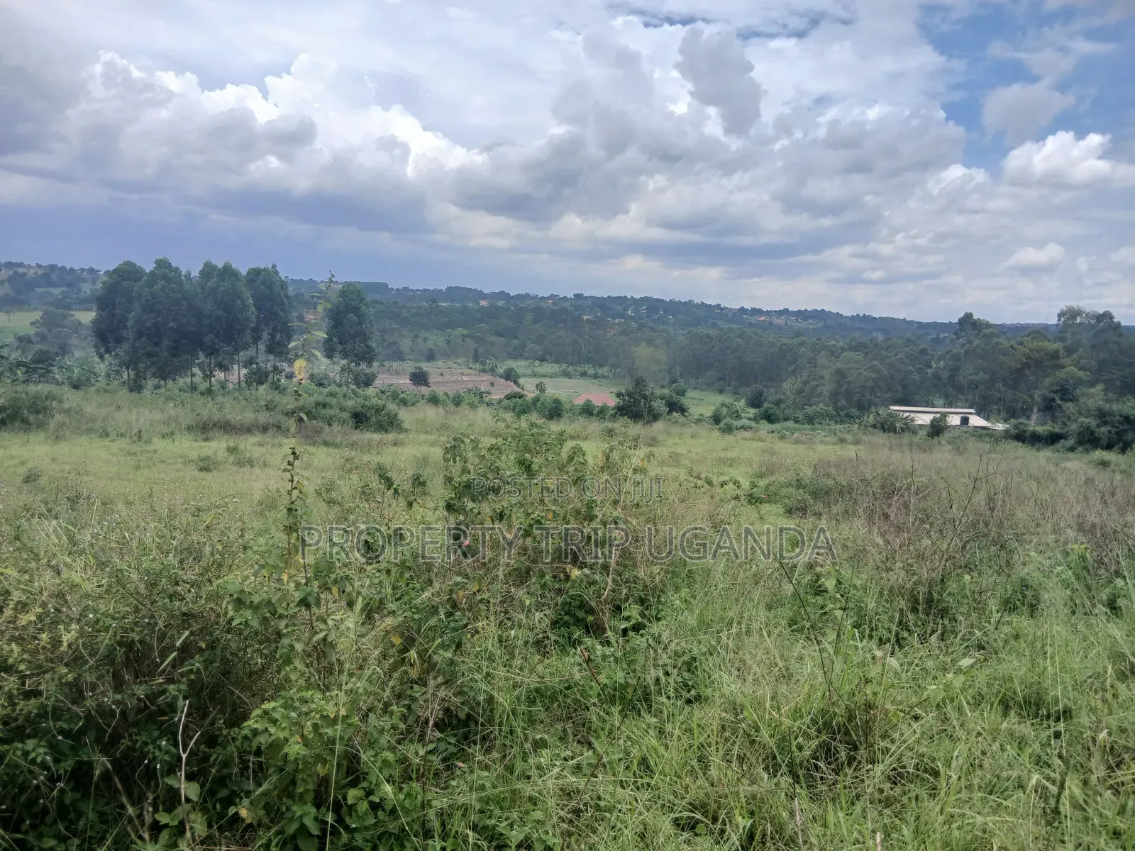 Gayaza Majigye Plots