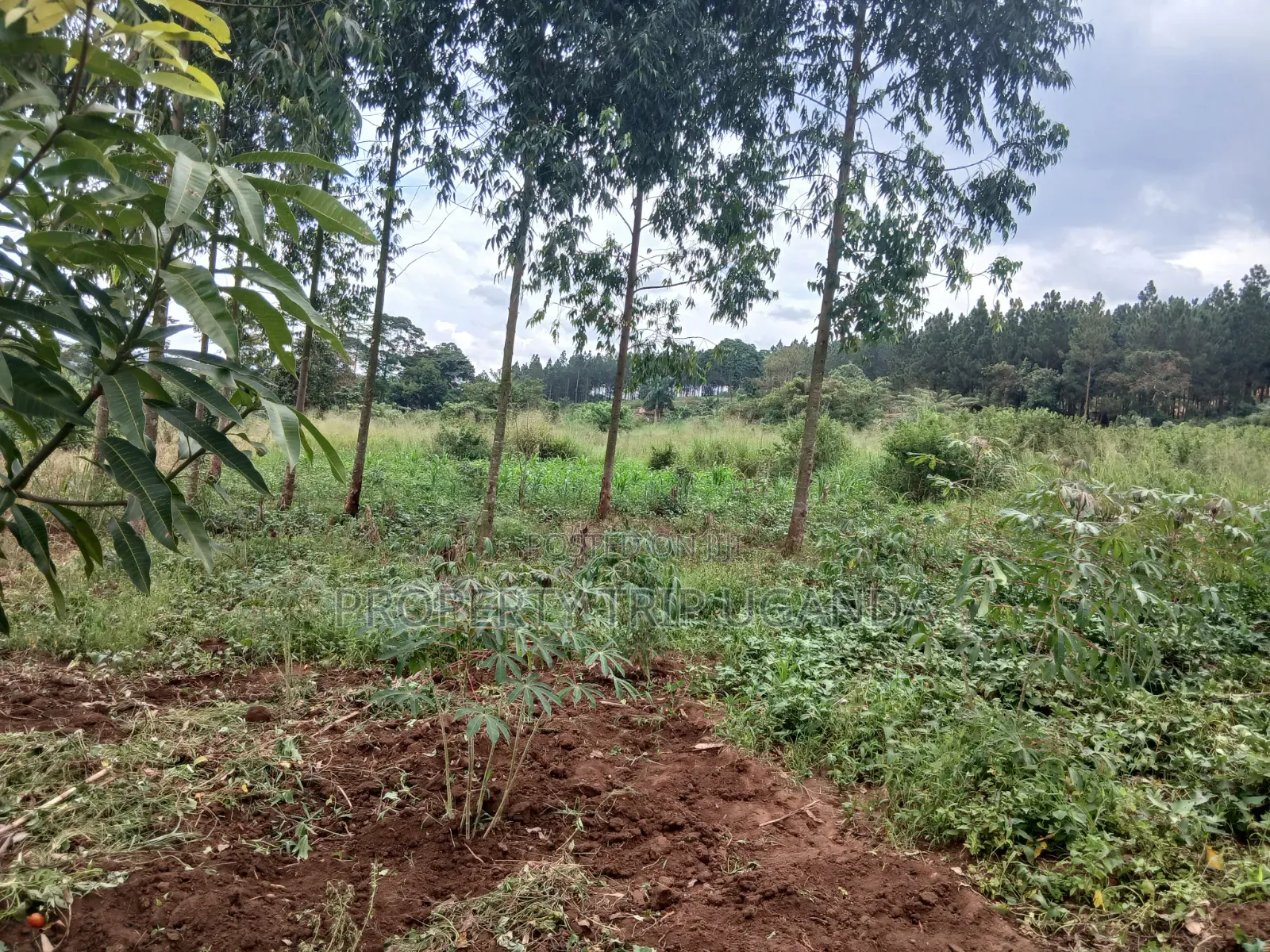 Gayaza Majigye Plots