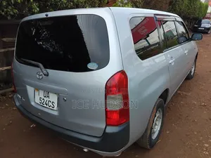Toyota Probox 2007 Gray