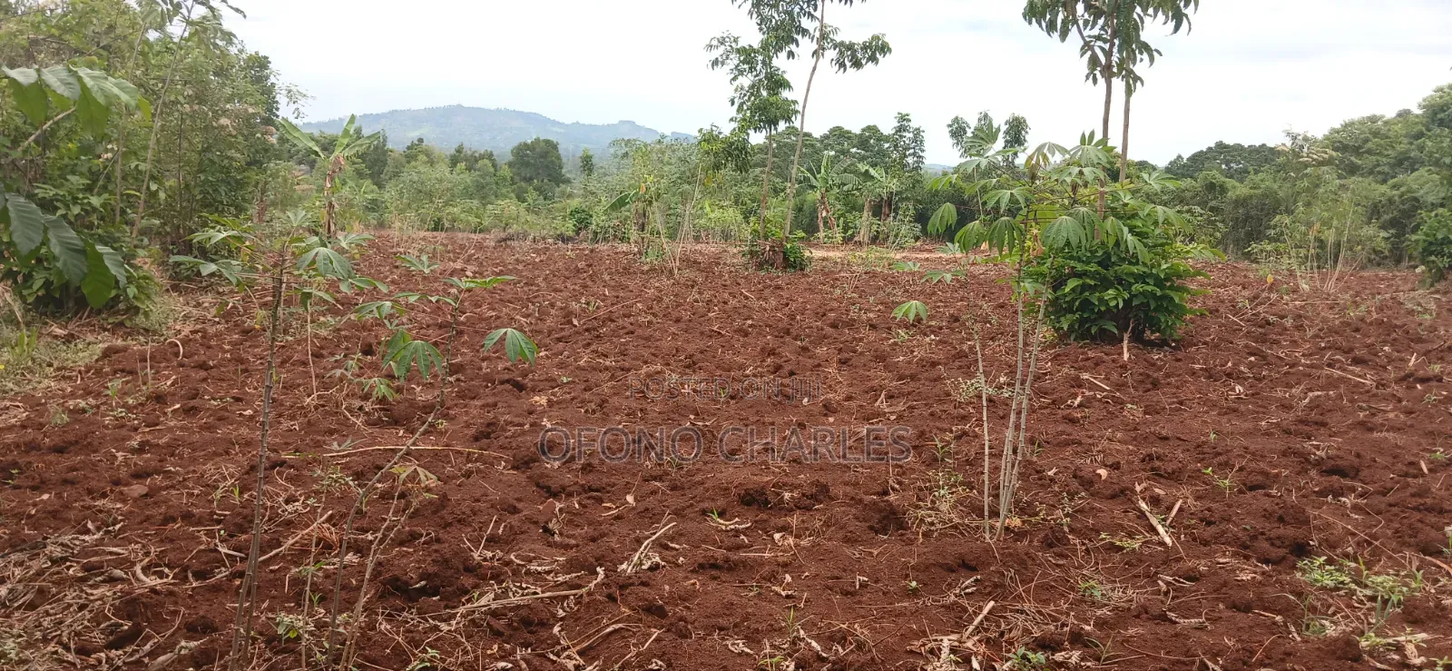 Bujagali Jinja City Its One Acre