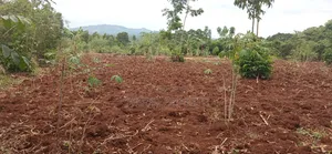 Bujagali Jinja City Its One Acre