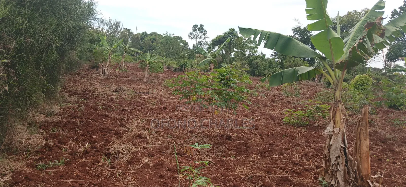 Bujagali Jinja City Its One Acre
