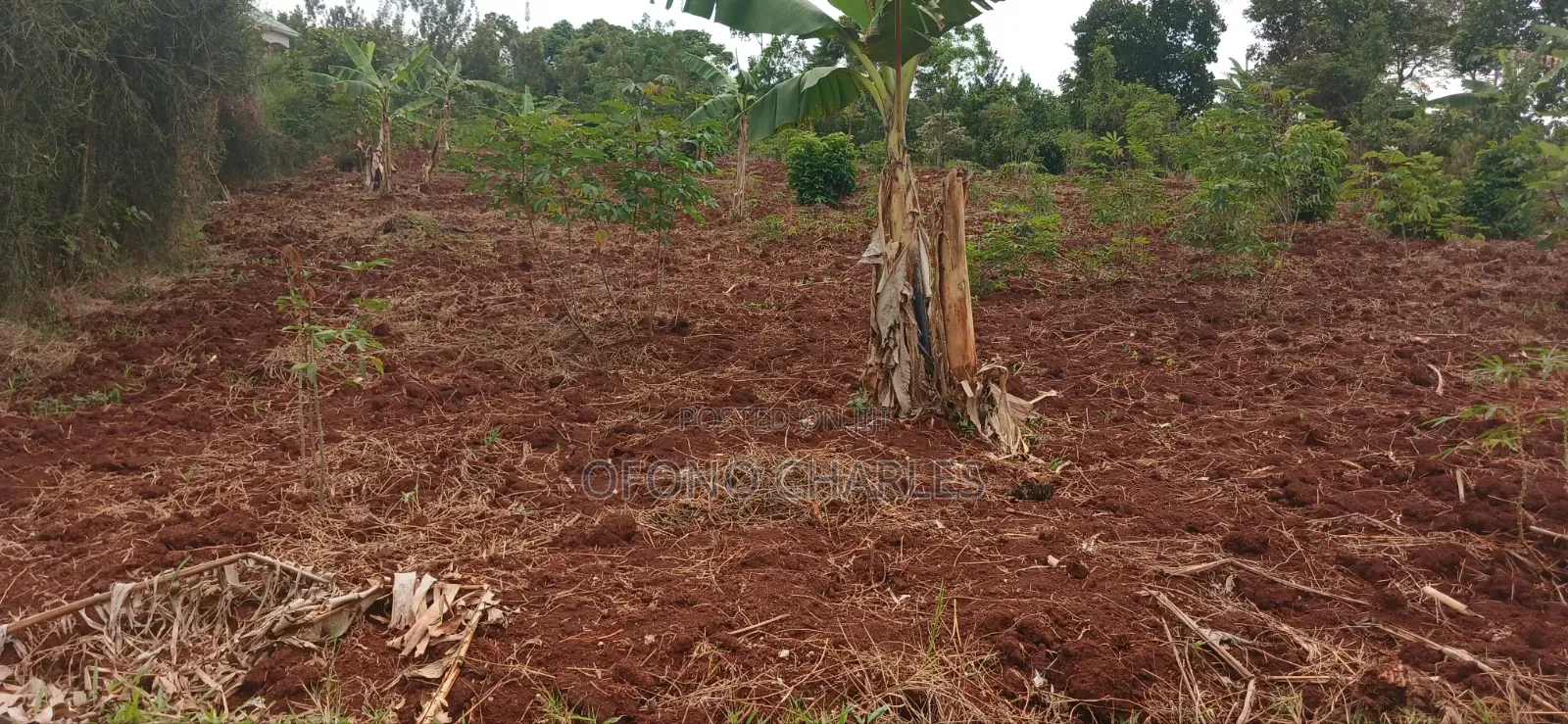 Bujagali Jinja City Its One Acre