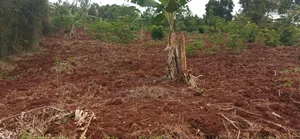 Bujagali Jinja City Its One Acre