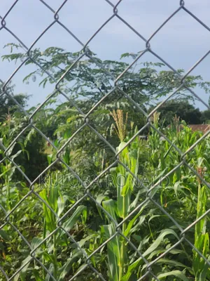 Land on Sale