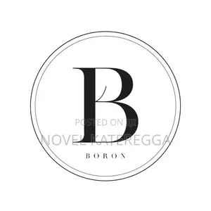 Boron Logo