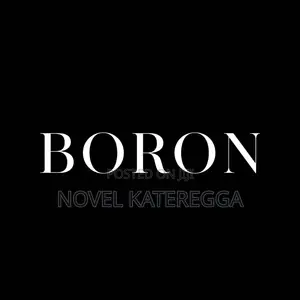 Boron Logo