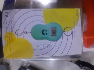 Portable Digital Scale
