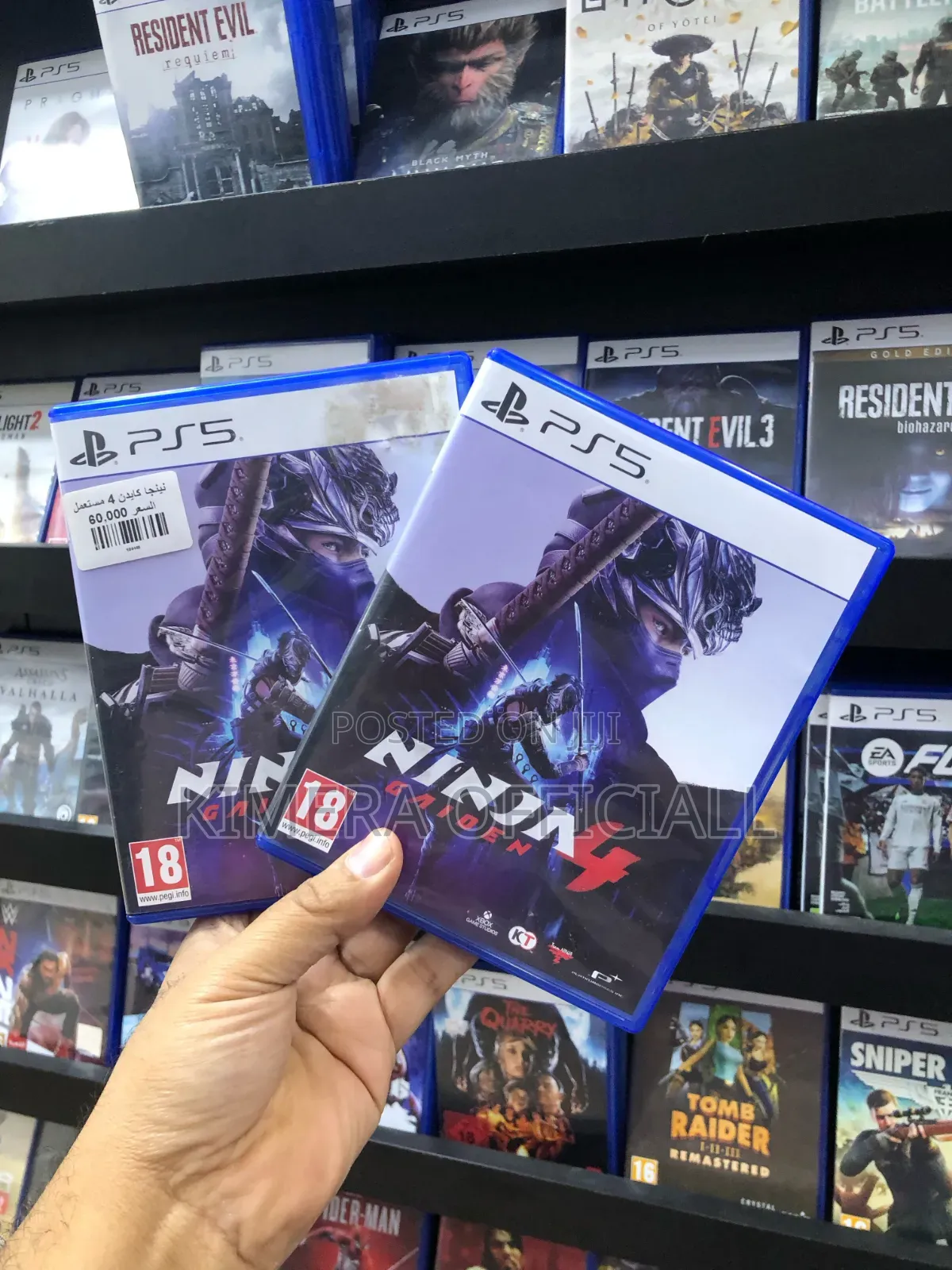 Ninja Gaiden 4