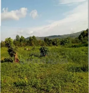 Four Hectares of Land and 4bdrm House in Kamwenge for Sale
