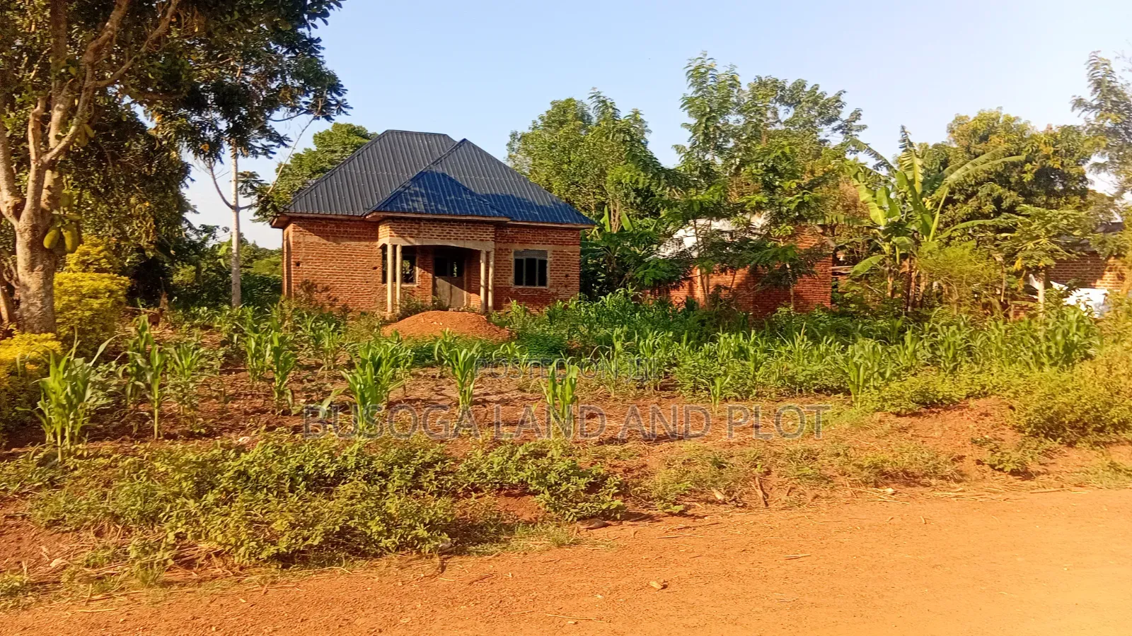 50×300 Ft Near Nawanyingi Country Headquarters, Iganga – 12m