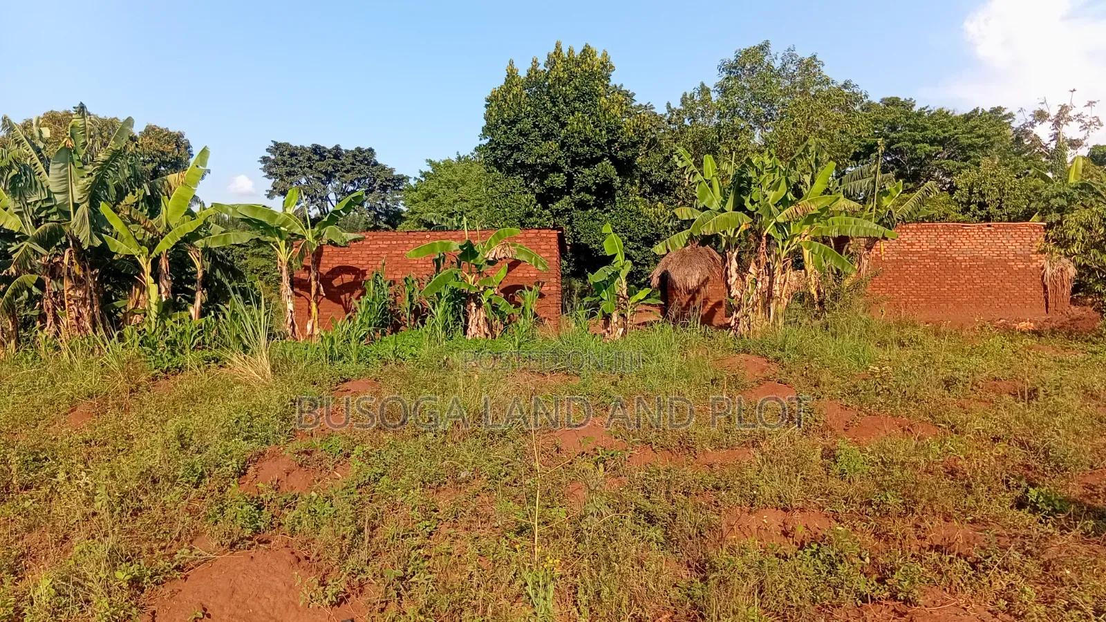 50×300 Ft Near Nawanyingi Country Headquarters, Iganga – 12m