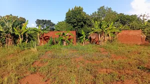 50×300 Ft Near Nawanyingi Country Headquarters, Iganga – 12m