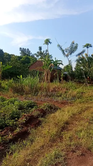 50×300 Ft Near Nawanyingi Country Headquarters, Iganga – 12m