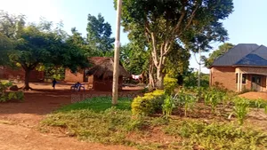 50×300 Ft Near Nawanyingi Country Headquarters, Iganga – 12m