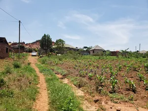 13 Decimals for Sell Gayaza Kabubuu at 28