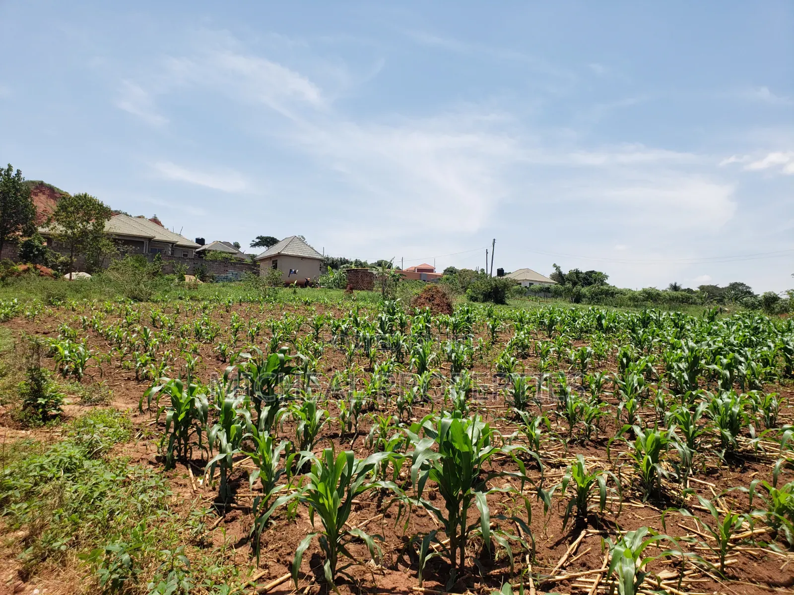 13 Decimals for Sell Gayaza Kabubuu at 28