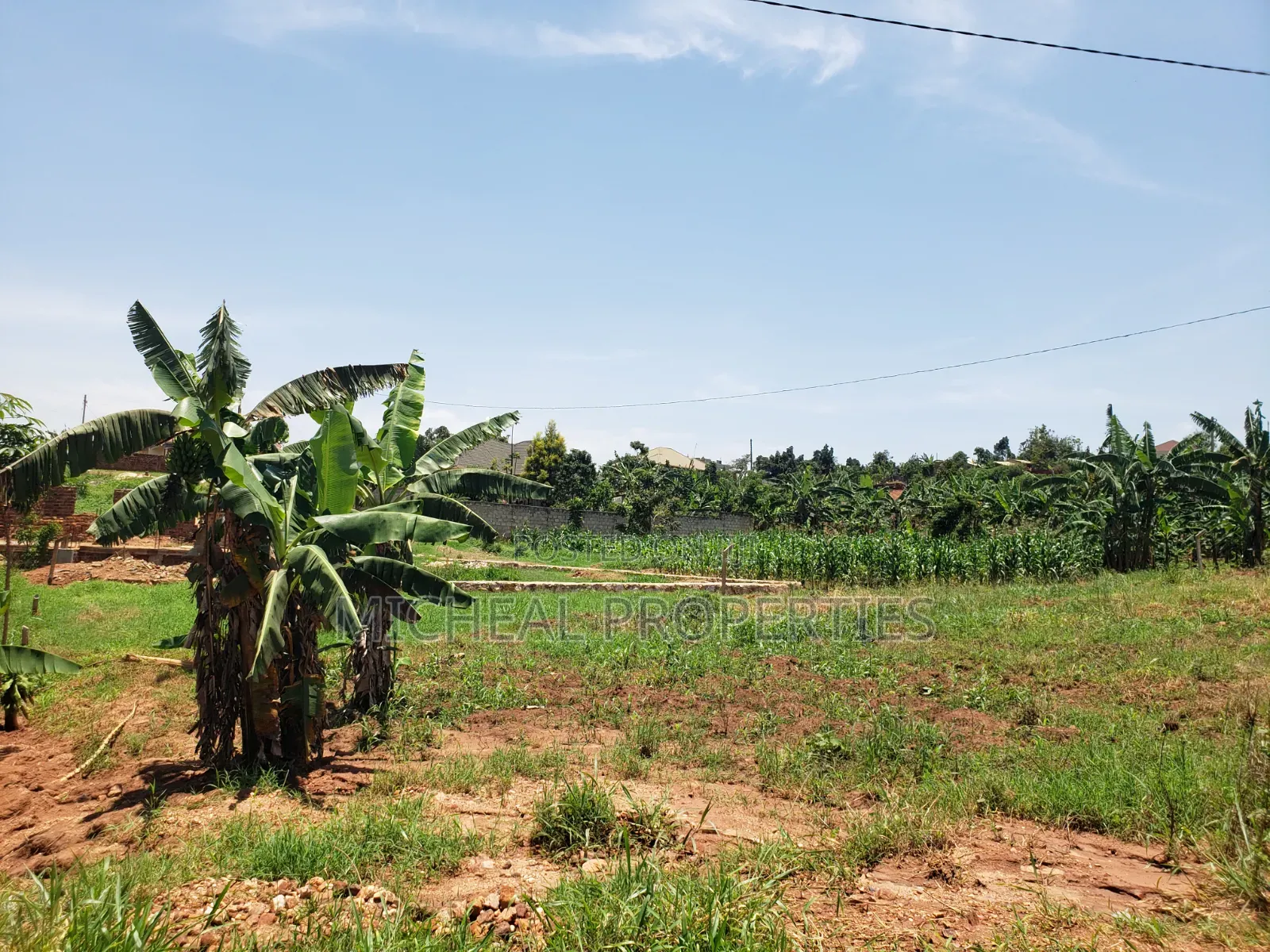 13 Decimals for Sell Gayaza Kabubuu at 28