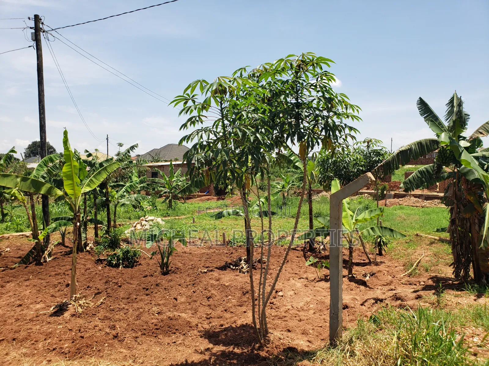 13 Decimals for Sell Gayaza Kabubuu at 28
