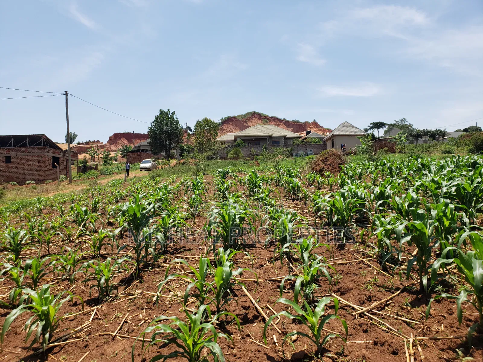 13 Decimals for Sell Gayaza Kabubuu at 28