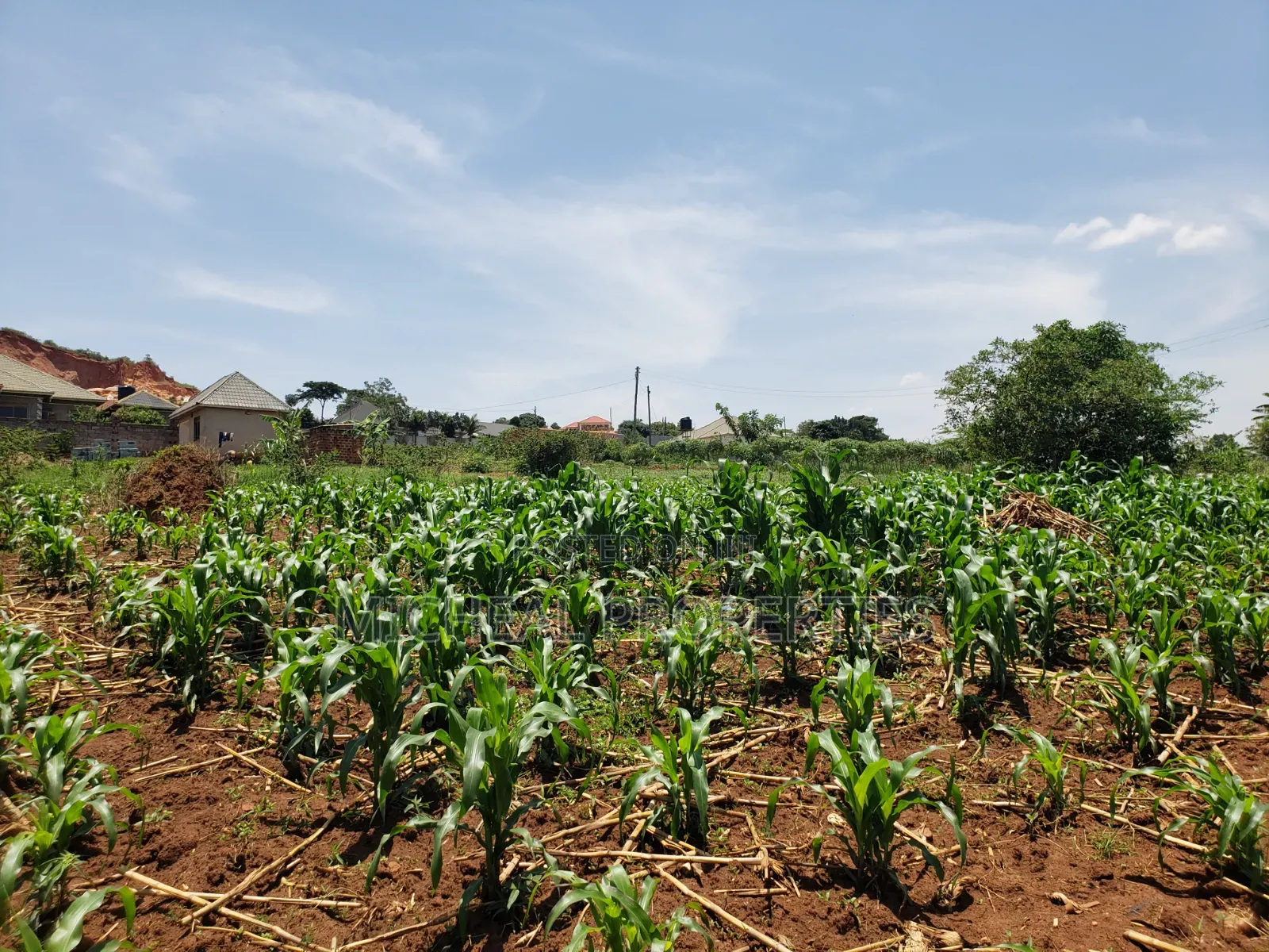 13 Decimals for Sell Gayaza Kabubuu at 28