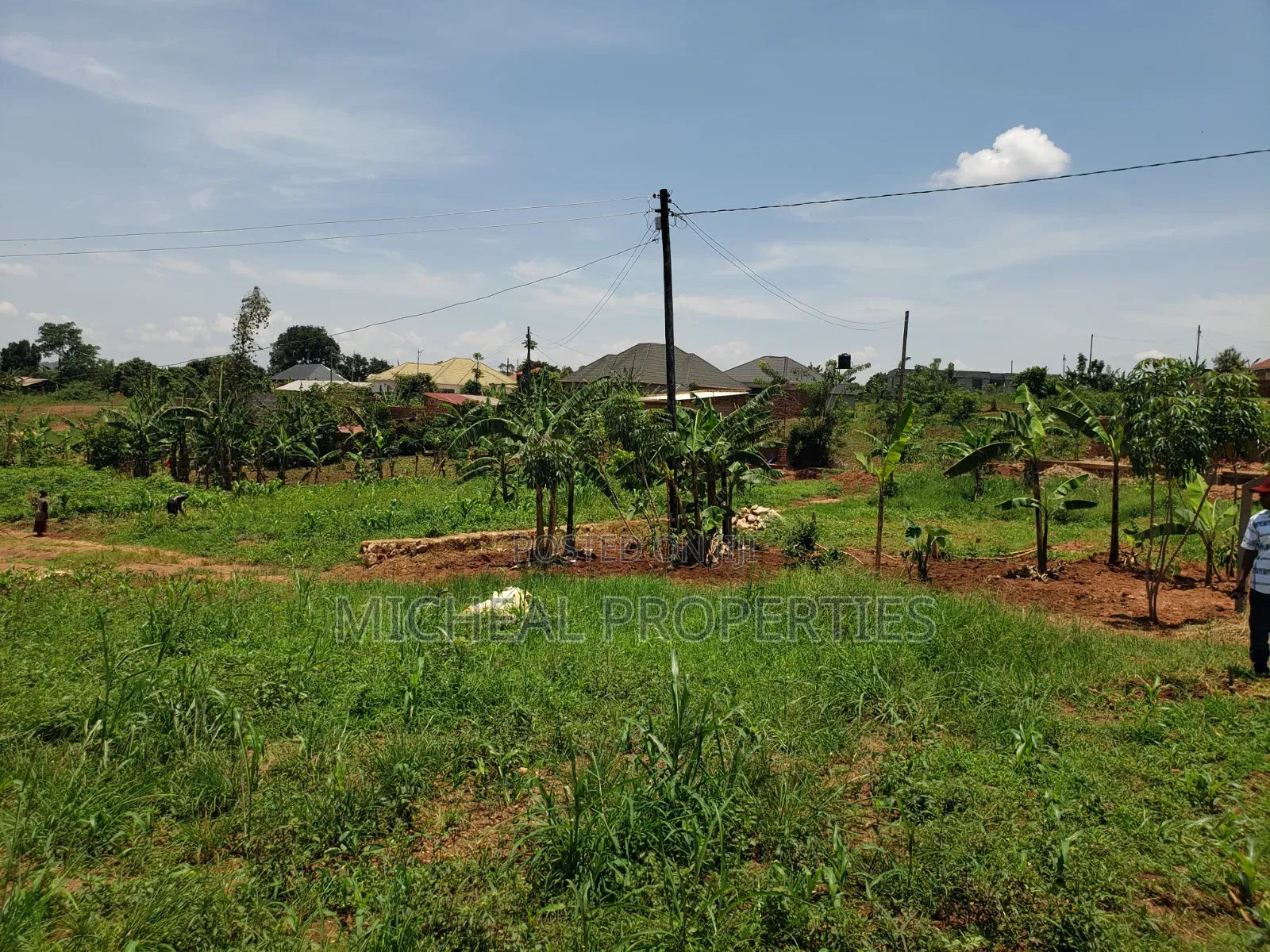 13 Decimals for Sell Gayaza Kabubuu at 28