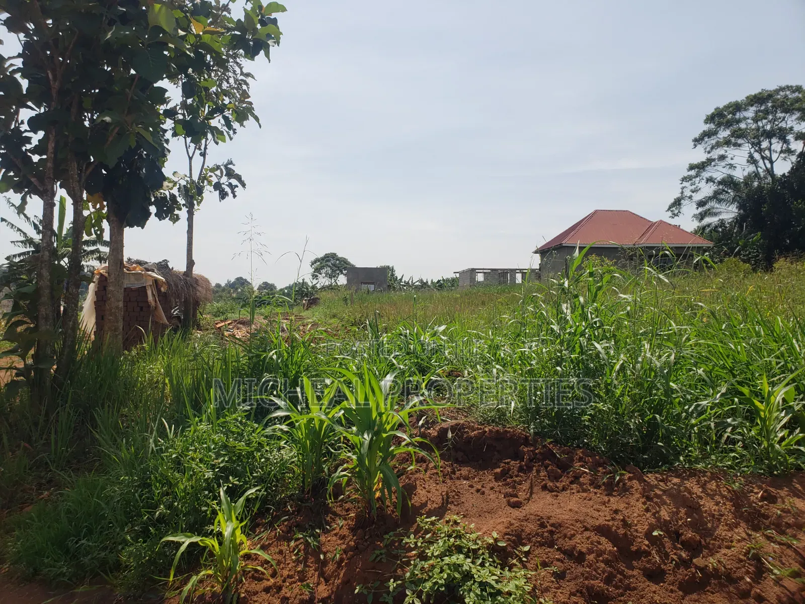 Plot for Sell Mpelerwe Katade at 85m