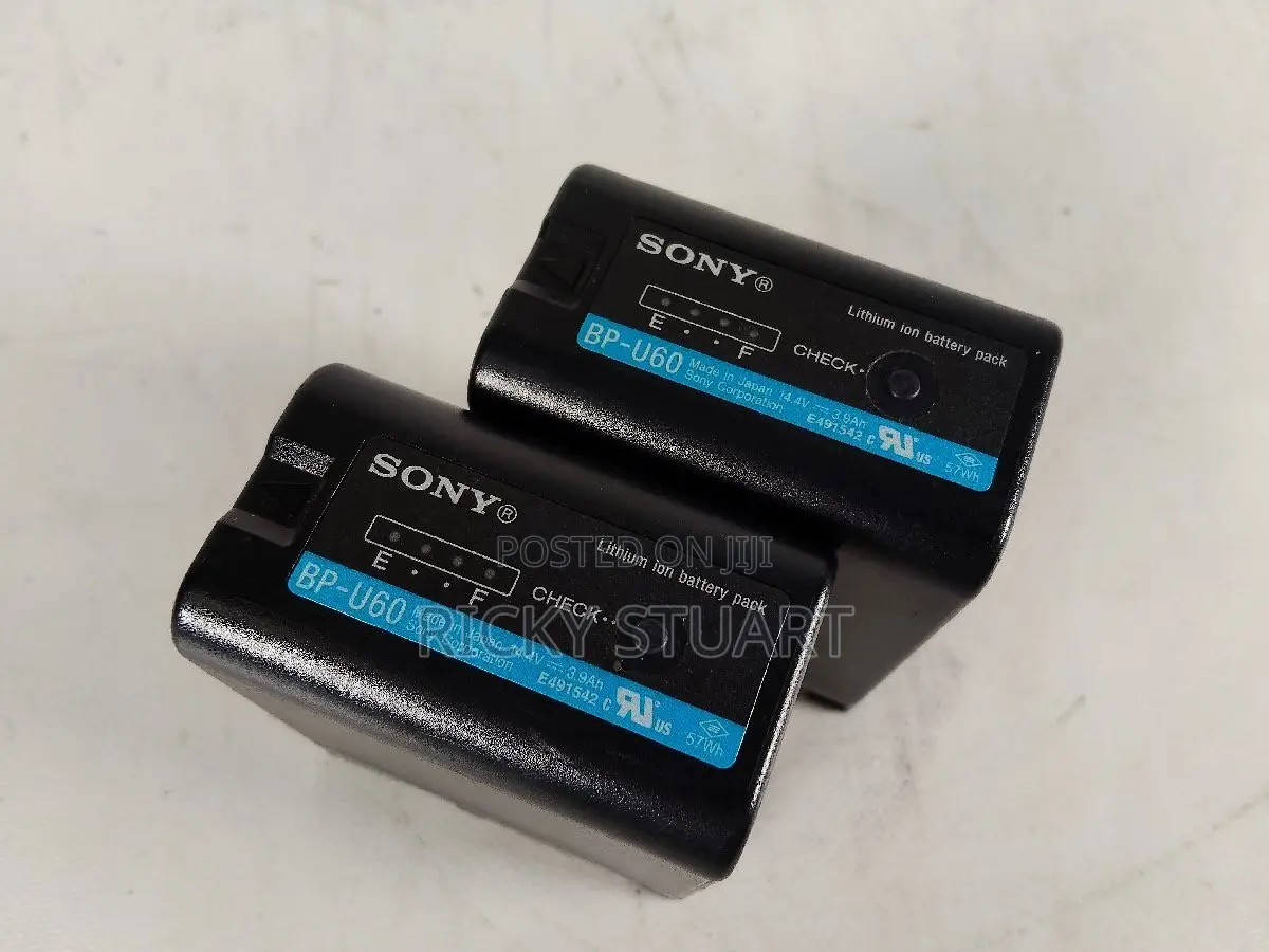 Sony BP-U60 Lithium-Ion Battery