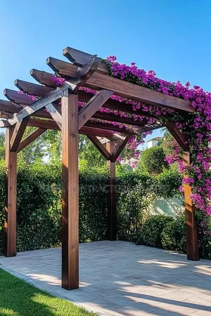 Pergolas With Bougainvillea Flowers From 4,500,000/- In Any Colour