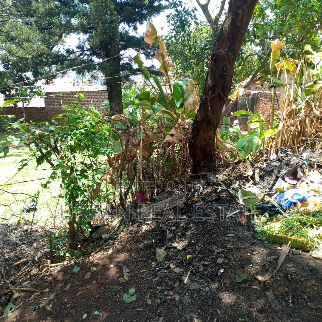 Land for Sale Kanyanya Kawempe Divison