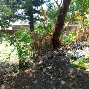 Land for Sale Kanyanya Kawempe Divison