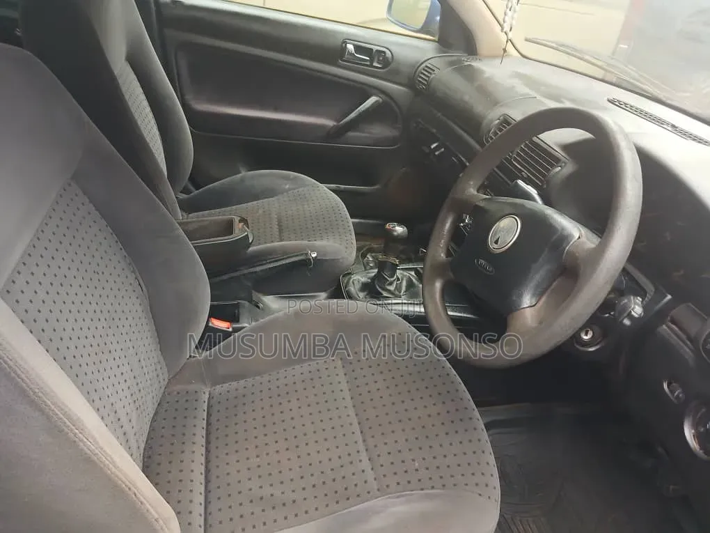 Volkswagen Passat 2004 Blue