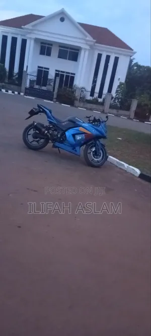 Kawasaki Ninja 300 2019 Blue