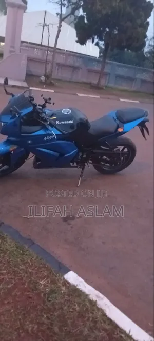 Kawasaki Ninja 300 2019 Blue