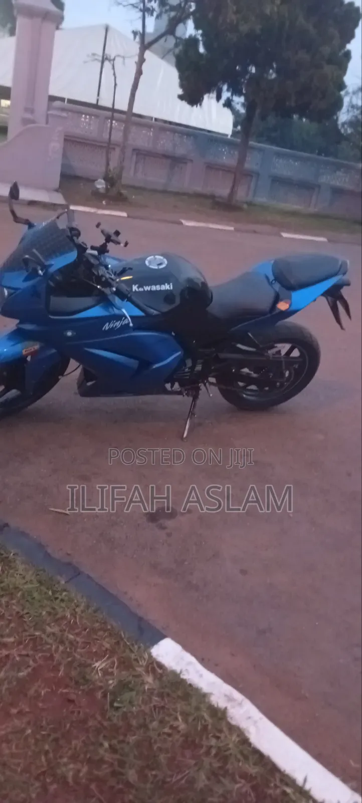 Kawasaki Ninja 300 2019 Blue