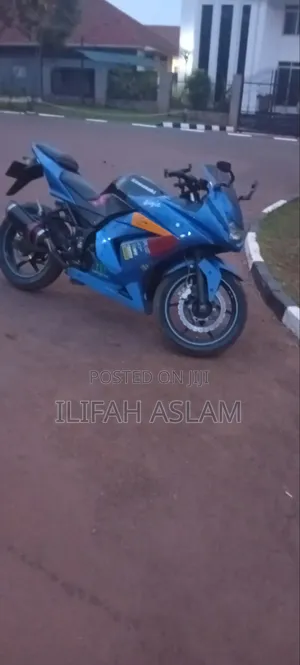 Kawasaki Ninja 300 2019 Blue