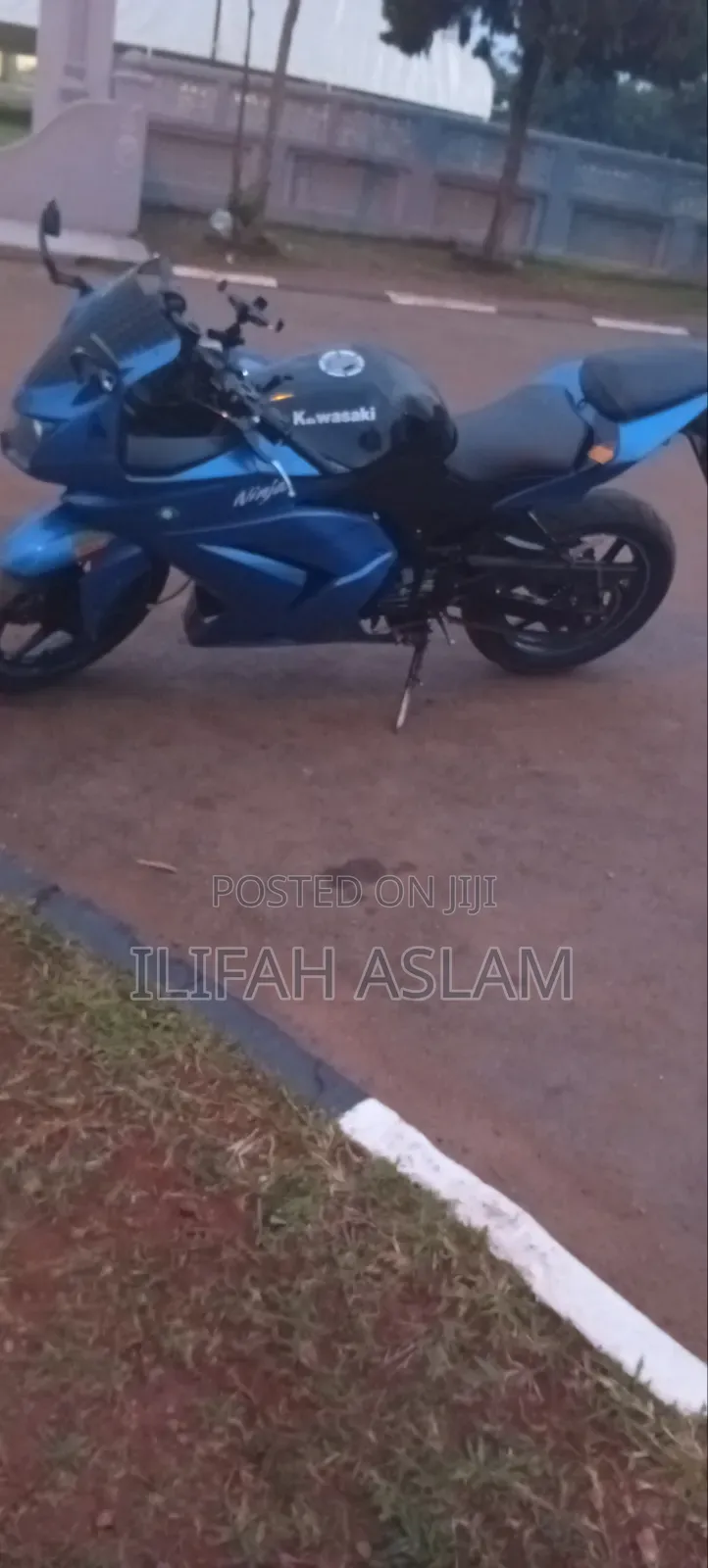 Kawasaki Ninja 300 2019 Blue